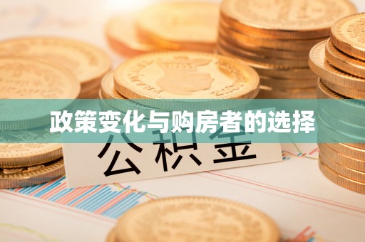 慈利政策变化与购房者的选择