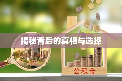 慈利揭秘背后的真相与选择