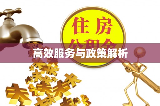 慈利高效服务与政策解析