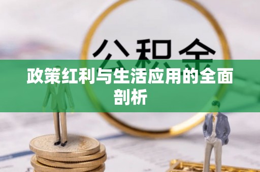 慈利政策红利与生活应用的全面剖析