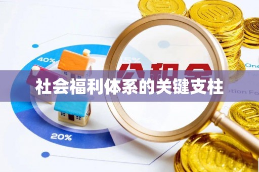 慈利社会福利体系的关键支柱