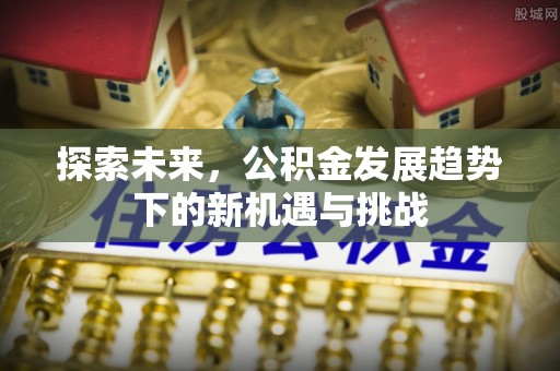 慈利探索未来，公积金发展趋势下的新机遇与挑战