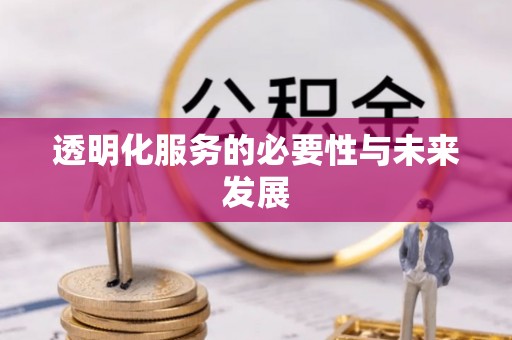 慈利透明化服务的必要性与未来发展